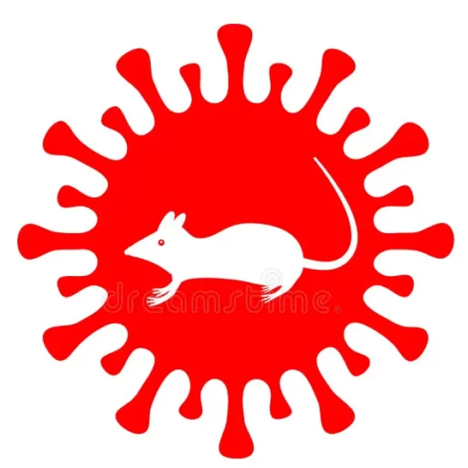 Hantavirus map
